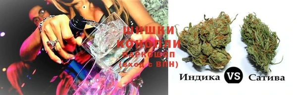 прущие грибы Алзамай