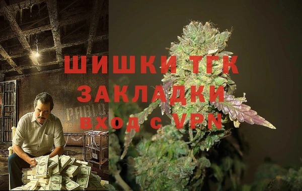 прущие грибы Алзамай