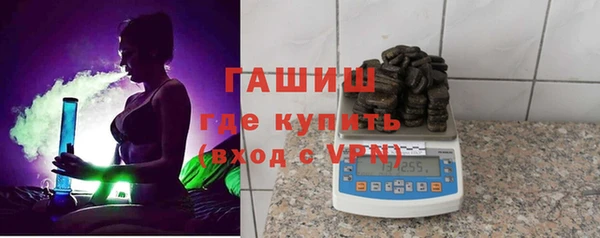 прущие грибы Алзамай