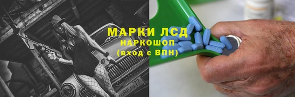 прущие грибы Алзамай