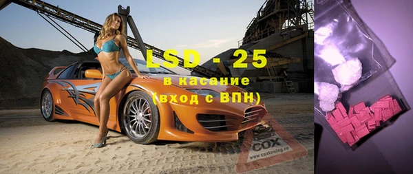 прущие грибы Алзамай
